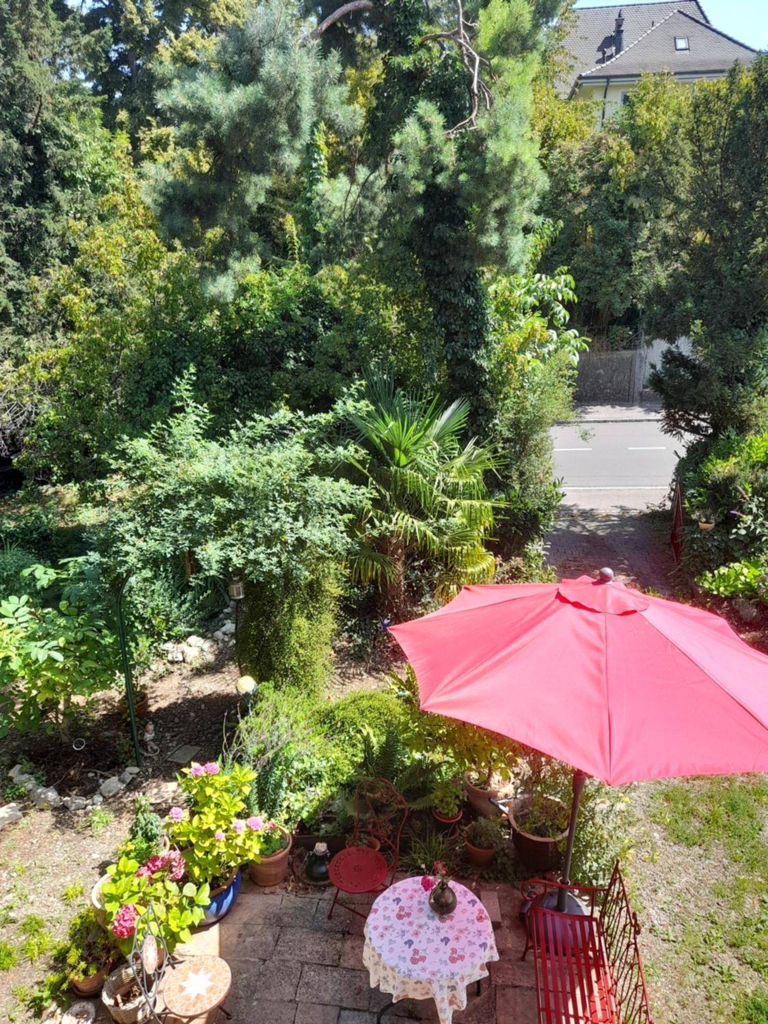 B&B Am Park Rheinfelden Exterior foto