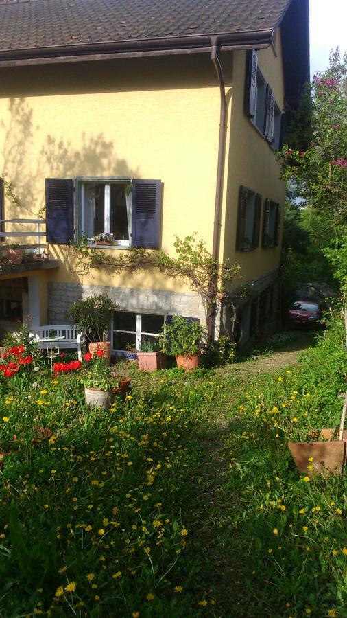B&B Am Park Rheinfelden Exterior foto