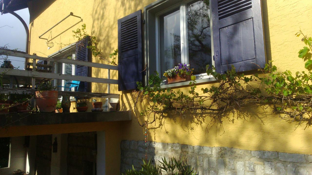 B&B Am Park Rheinfelden Exterior foto